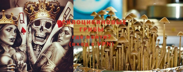 гашик Нея