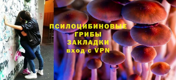 СК Арсеньев