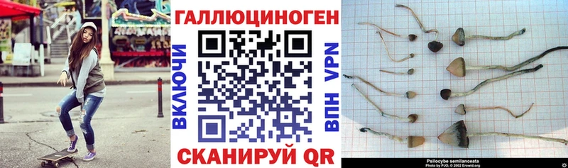 Галлюциногенные грибы MAGIC MUSHROOMS  Суровикино 